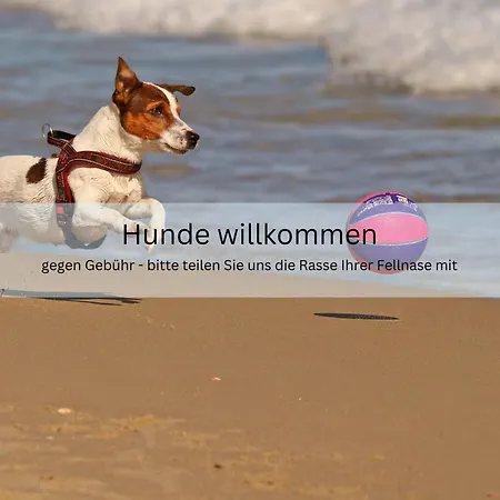 Appartementhaus Sonnenschein - Nur 250m Zum Strand, Zentrumsnah Apartment Binz