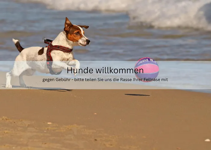 Appartementhaus Sonnenschein - 250m Zum Im Zentrum Von Appartement Binz